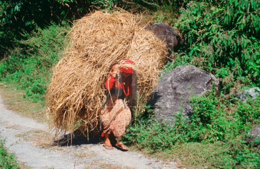 Women Nepal