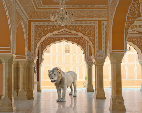 P33 The last Lion, Diwan I KHas City Palace Jaipur